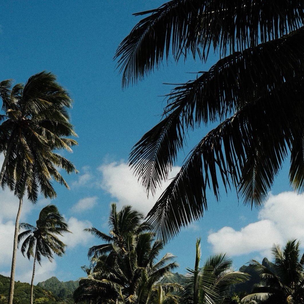 A reminder of the inspiration behind our crafts, our beautiful home. 

Discover more on Tavpacific.com