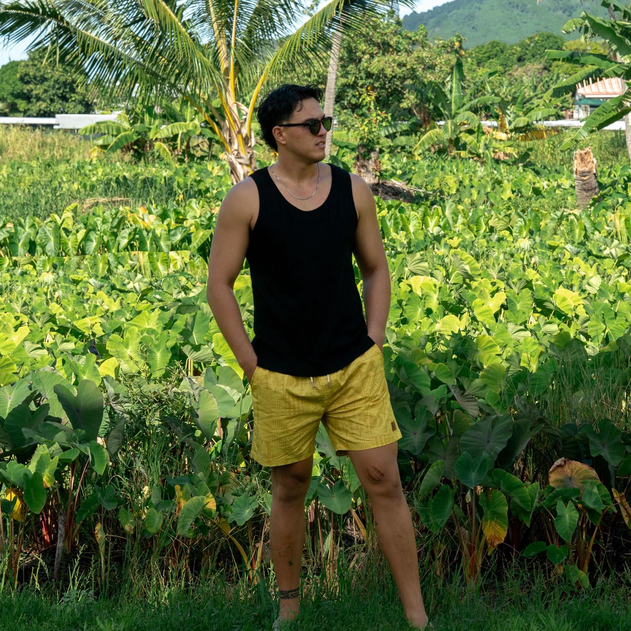 Avaiki Shorts, made for island days.
Rediscover the collection at Tavpacific.com