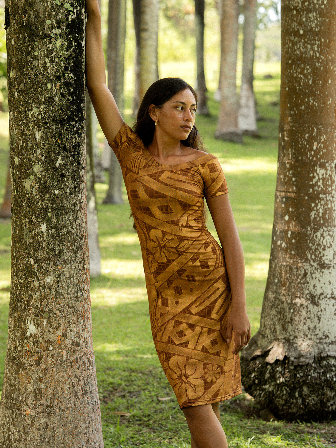 Aimata Dress - Bronze